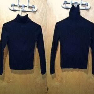 The Limited Ribbed Turtleneck Sweater